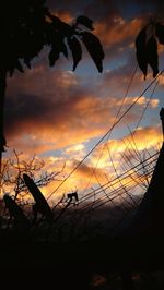 Close-up of silhouette trees against sky during sunset