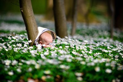 Boy amidst flowers on field