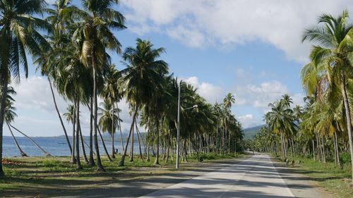 Road amidst palm trees against sky