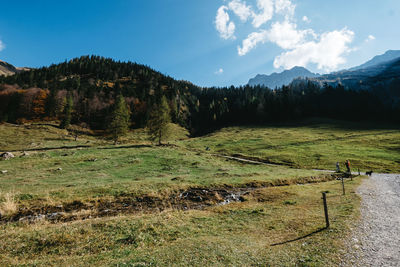 Scenic view of field against sky