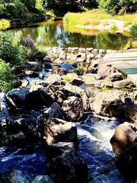 River flowing through rocks in forest