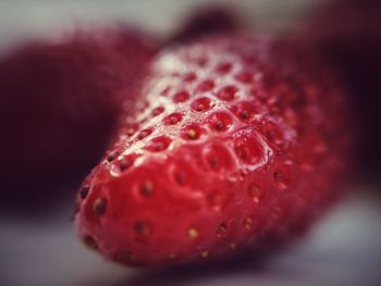 Close-up of strawberry