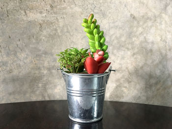 Close-up of potted plant on table