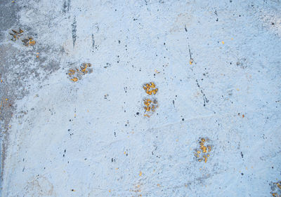 Full frame shot of weathered wall