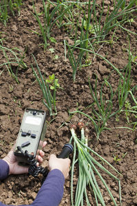 Cropped hand of person holding machine by plant