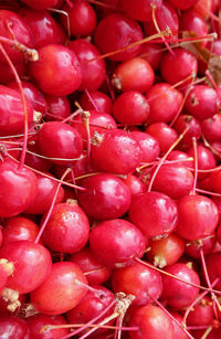 Full frame shot of tomatoes