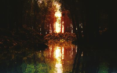 Reflection of illuminated lights in puddle