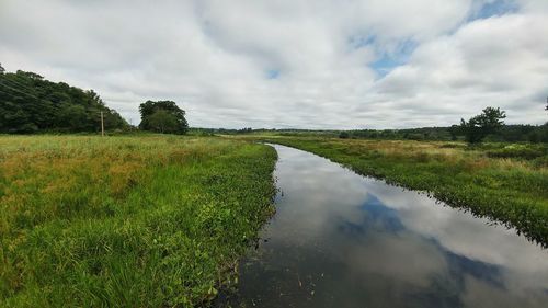 Scenic view of field against sky