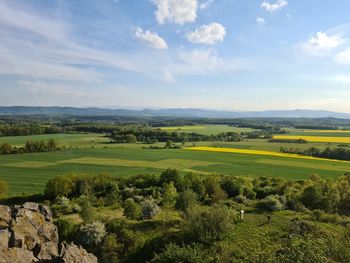 Scenic view of agricultural field against sky