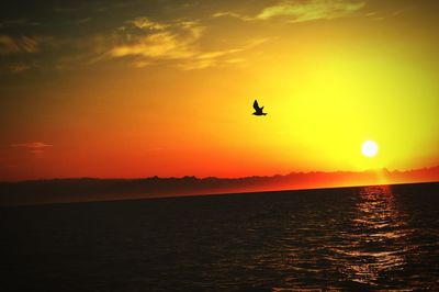 Silhouette bird flying over sea against orange sky