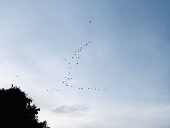 Low angle view of birds flying in sky