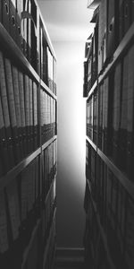 Row of books in building