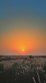 Scenic view of field against sky during sunset