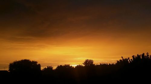 Silhouette trees against sky during sunset