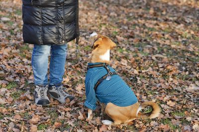 Low section of person with dog standing on field