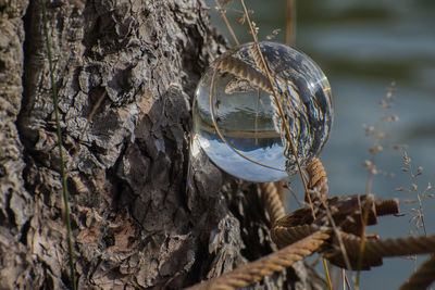 Reflection of landscape in crystal ball