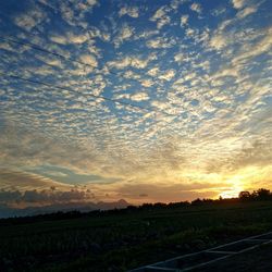 Scenic view of field against sky during sunset