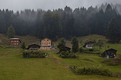 Houses on field by trees and buildings