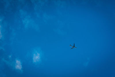 Low angle view of airplane flying in sky