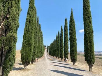 Panoramic view of tuscany landscape against sky