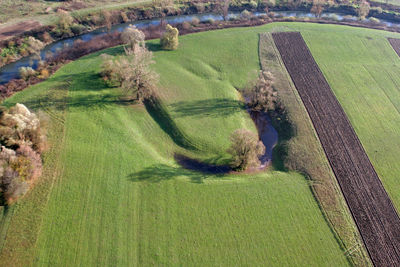 High angle view of agricultural field