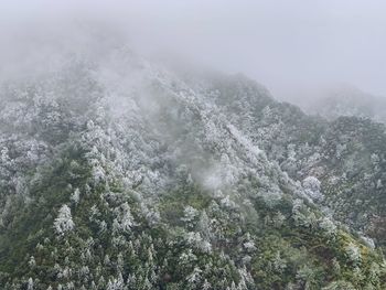 Scenic view of foggy weather