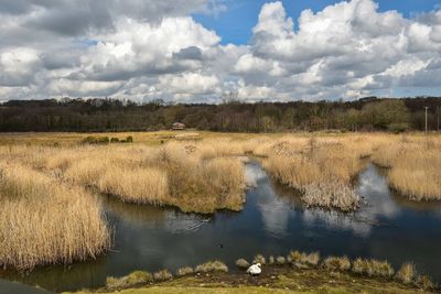 Scenic view of lake against sky