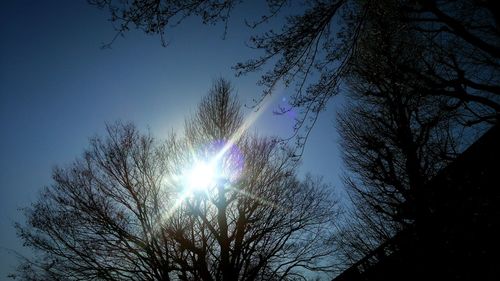 Low angle view of trees against rainbow in sky