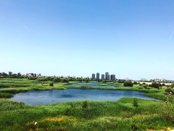 Scenic view of lake and buildings against clear sky