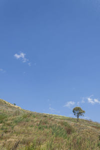 Scenic view of landscape against blue sky