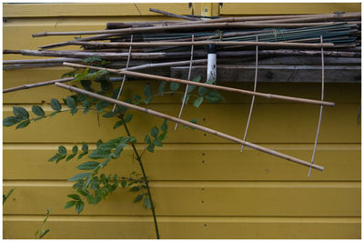 Low angle view of yellow wall of building