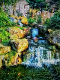 Scenic view of waterfall in forest