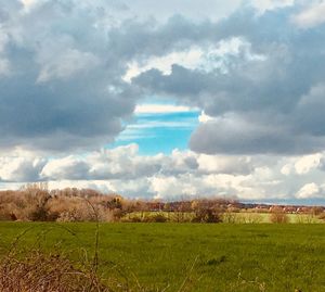 Scenic view of field against sky