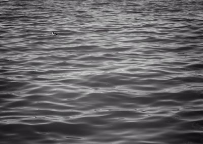 Full frame shot of rippled water