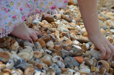 Low section of girl picking up pebbles