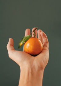 Close-up of hand holding apple against white background