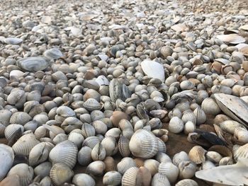 Full frame shot of pebbles