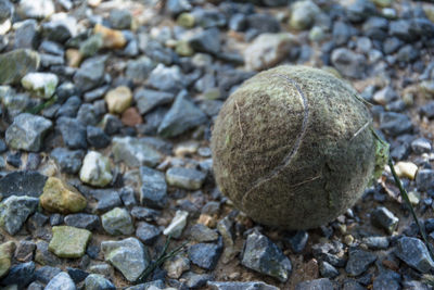 High angle view of stones on rocks
