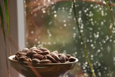 Close-up of almonds in bowl 