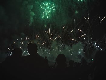 Rear view of silhouette people watching firework display
