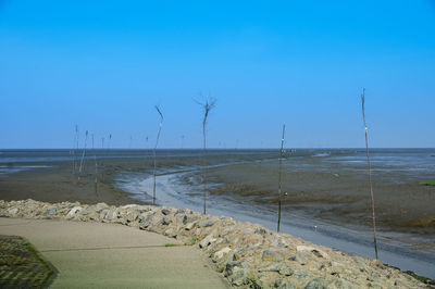 Scenic view of beach against clear blue sky