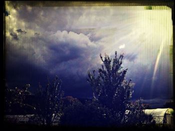 Trees against cloudy sky