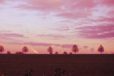 Silhouette trees on landscape against sky at sunset