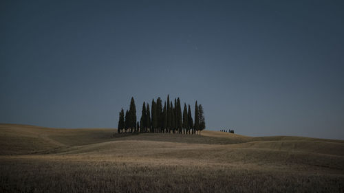 Scenic view of field against sky at night