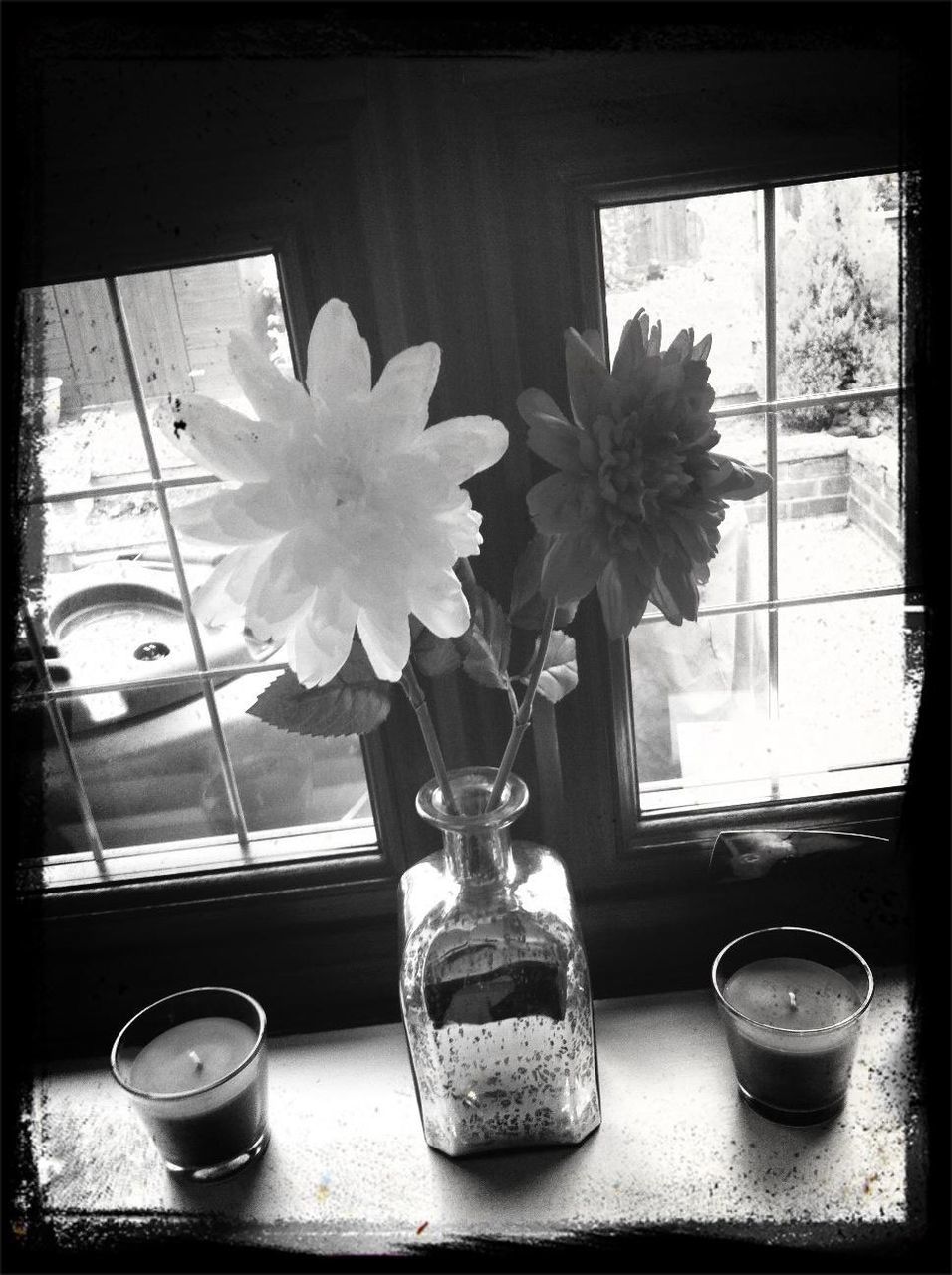 vase, flower, table, window, indoors, drink, no people, freshness, day