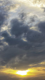 Low angle view of silhouette birds flying against dramatic sky