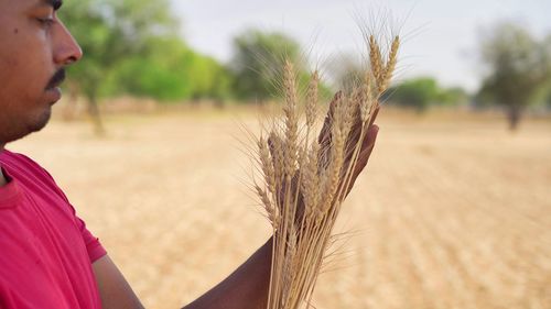 agriculture