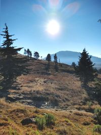 Scenic view of landscape against sky on sunny day