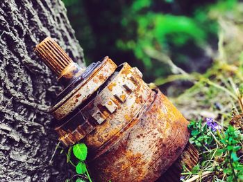 Close-up of old rusty metal structure in forest