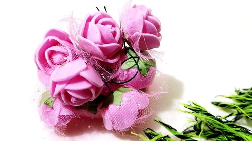 Close-up of pink rose against white background